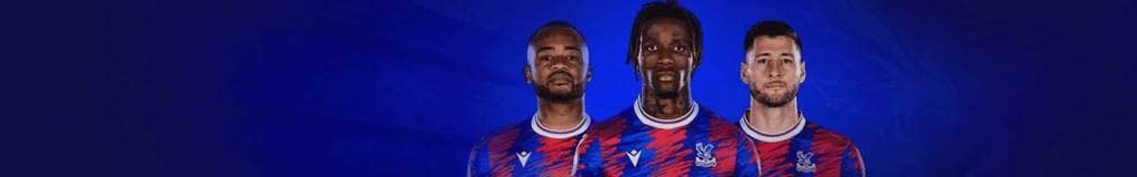 expert sudoku techniques
